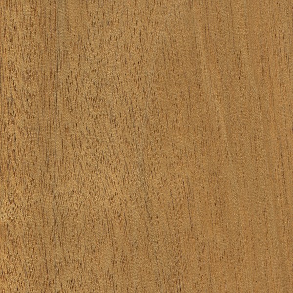 Mahogany